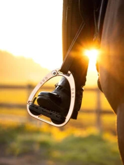 LeMieux Vector Balance Safety Stirrup - VARIOUS COLOURS -Waldheusan Shop 3n6a0927 copy