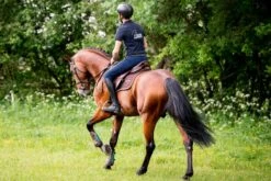 Winderen Jump Half Pad Slim - 10mm -Waldheusan Shop 4122b 50fb6a69 a685 48c3 8185 df9f43edc41d