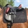 Anatomeq Perfeq Dressage Pad - Various Colours 1 Anatomeq Perfeq Dressage Pad - Various Colours -Waldheusan Shop ScreenShot2020 09 10at3.08.06PM 1024x1024 2x cd5fc230 0d51 4807 a6a3 1b2b0da7babb