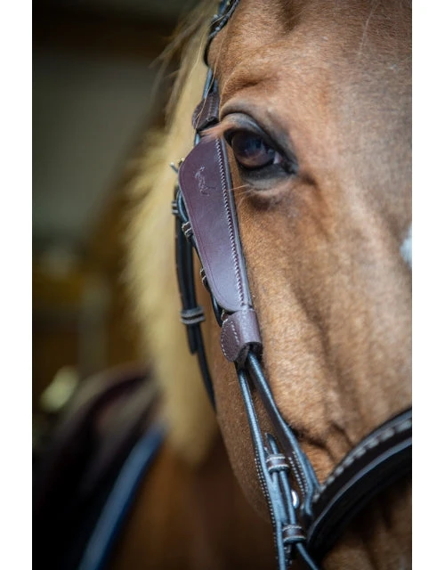 PÉNÉLOPE Penelope Blinkers 4 PÉNÉLOPE Penelope Blinkers - Image 2