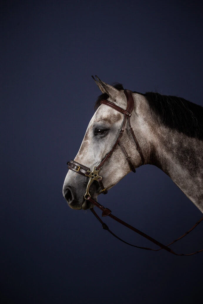 Dy'on New English Collection Hackamore Cheek Pieces 3 Dy'on New English Collection Hackamore Cheek Pieces