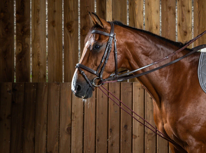 Dy'on Working Collection Leather/Nylon Draw Reins 3 Dy'on Working Collection Leather/Nylon Draw Reins