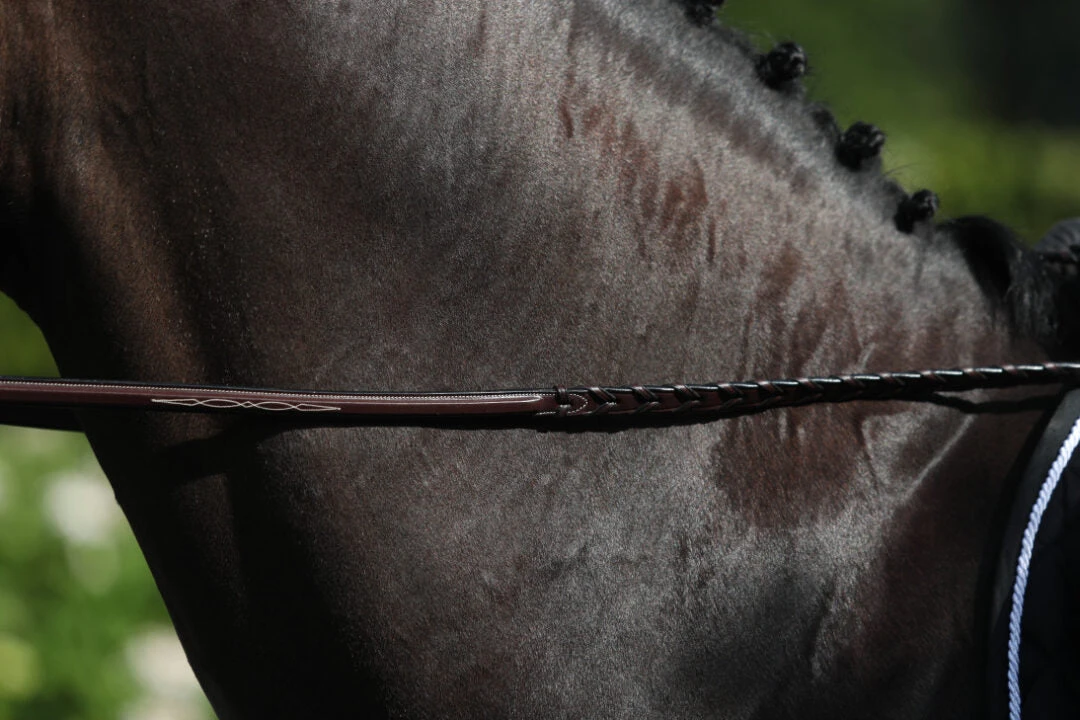 Dy'on Hunter Collection Fancy Stiched Leather Laced Reins 1/2" 3 Dy'on Hunter Collection Fancy Stiched Leather Laced Reins 1/2"